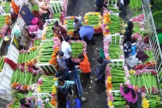 中国十大花卉批发市场，江苏上榜两处，第一是中国最大鲜切花市场