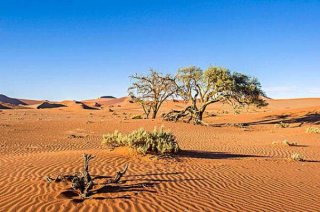 <b><font color='#FF0000'>世界上最古老的十个沙漠，纳米布沙漠近</font></b>